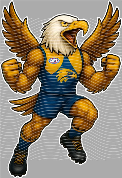 NBA and Team-QD 1389